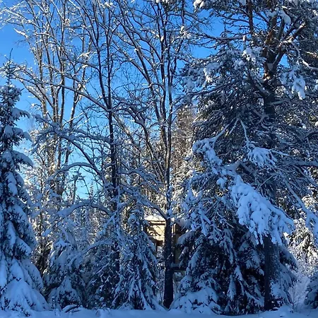 Grande Maison Avec Sauna Prive Et 5 * Rovaniemi