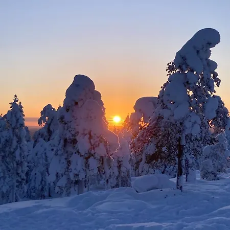Villa Grande Maison Avec Sauna Prive Et 5 Rovaniemi