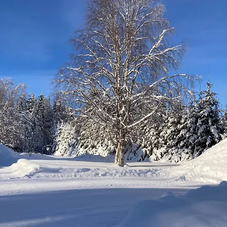 Grande Maison Avec Sauna Prive Et 5 *